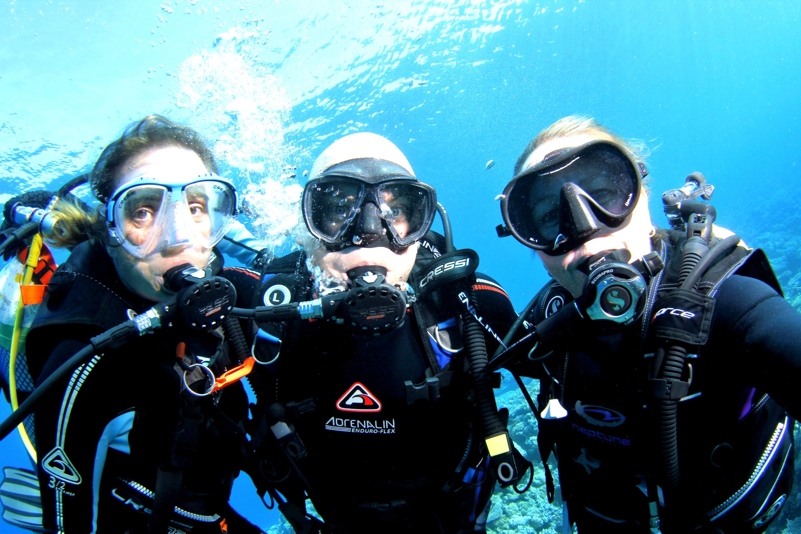 3 Diving Stooges at Rowley Shoals