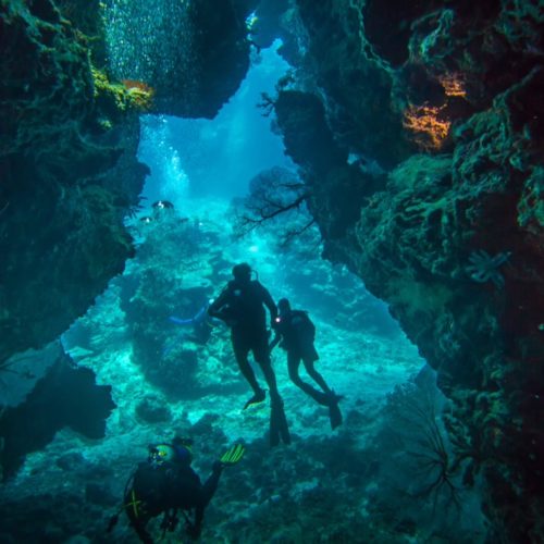 Three Coral and underwater divers in a chasm, at the Rowley Shoals