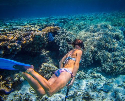 Woman snorkelling over coral, Rowley Shoals